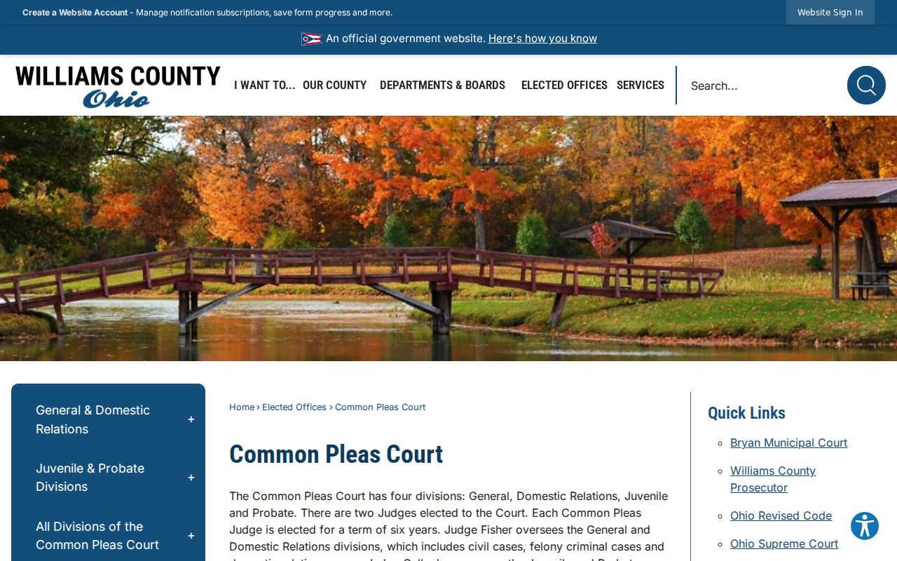 Williams County court docket divisions shown on the Common Pleas Court page