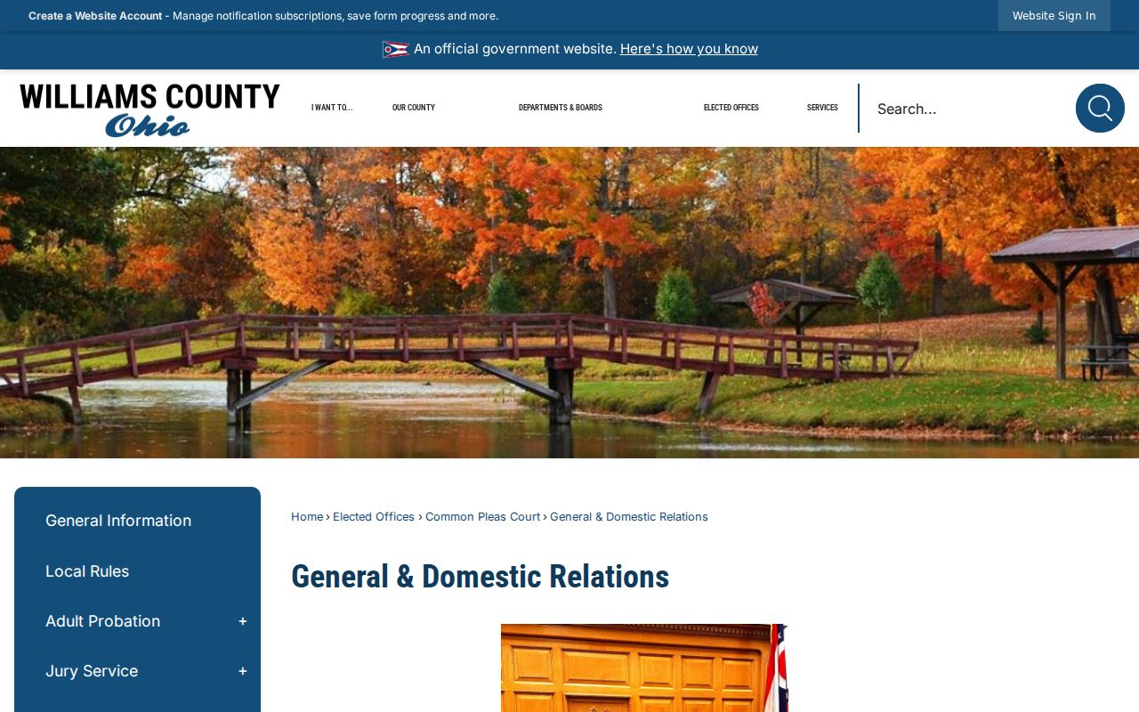 Williams County civil court docket General and Domestic Relations court page