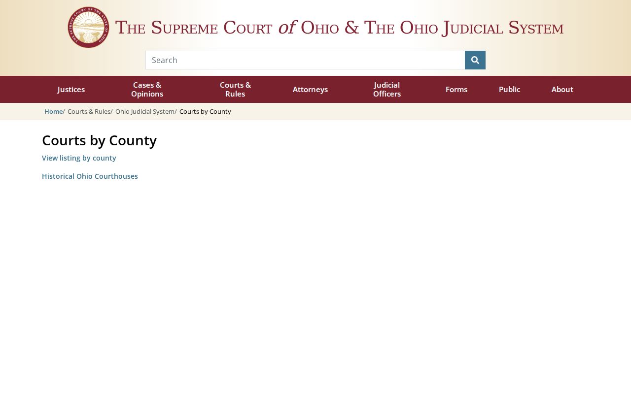 Ohio trial courts directory showing Williams County court docket system context
